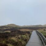 Amrum-wie immer eine Reise wert!