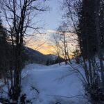 Hier kommt mein Januar-Newsletter